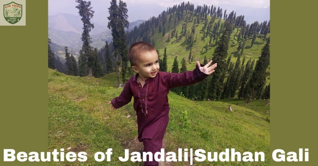 Jandali|Sudhan Gali